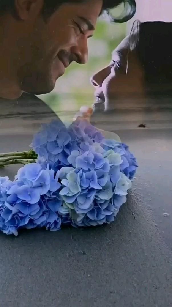 Открытка люблю тебя. a man is smelling blue flowers on the ground