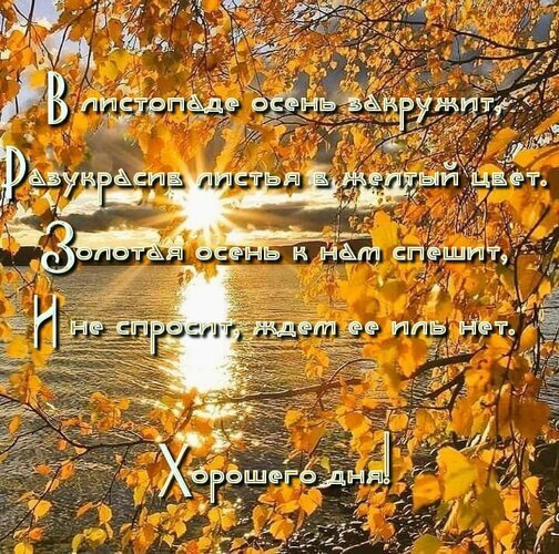 Осеннее фото с золотыми листьями и пожеланием хорошего дня. Поэтичные строки о золотой осени на фоне заката и воды. Идеально для соцсетей. Открытка В листопаде осень закружит, разукрасив листья в желтый цвет. Золотая осень к нам спешит... Красивое осеннее изображение с золотой листвой на фоне заката или рассвета над водой. На картинке наложен поэтичный текст на русском языке: «В листопаде осень закружит, разукрасив листья в желтый цвет. Золотая осень к нам спешит, не спросит, ждем ее иль нет. Хорошего дня!»