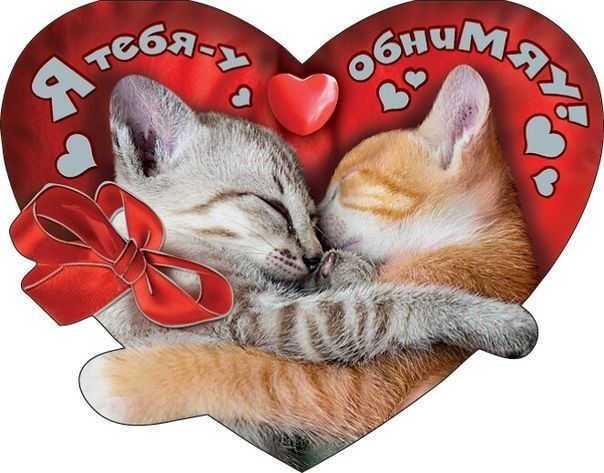 Открытка люблю тебя. two kittens cuddle together in front of a heart with words and hearts on it