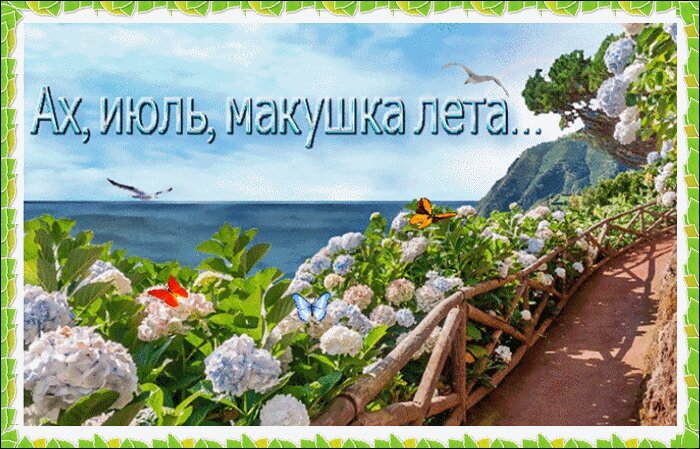 Живописный летний пейзаж: море, горы, пышные гортензии и бабочки с надписью «Ах, июль, макушка лета...». Атмосфера тепла и безмятежности. Открытка Ах, июль, макушка лета... Летний пейзаж с надписью «Ах, июль, макушка лета...», изображающий живописный вид на море с высоты холма. На переднем плане пышные кусты гортензий с белыми и голубыми цветами, по которым порхают яркие бабочки. Справа видна садовая дорожка с деревянным ограждением, уходящая вглубь сада. На фоне — спокойное синее море, скалистые горы и светлое небо с летящими чайками