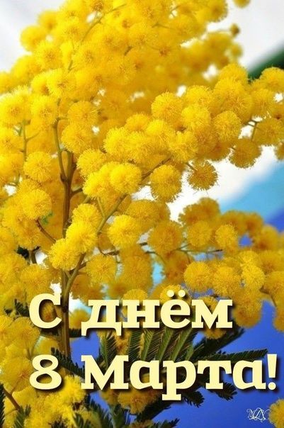 Открытка с Международным Женским Днем 8 марта. Запись на стене there is a yellow flower with the words c'them 8 mapra on it