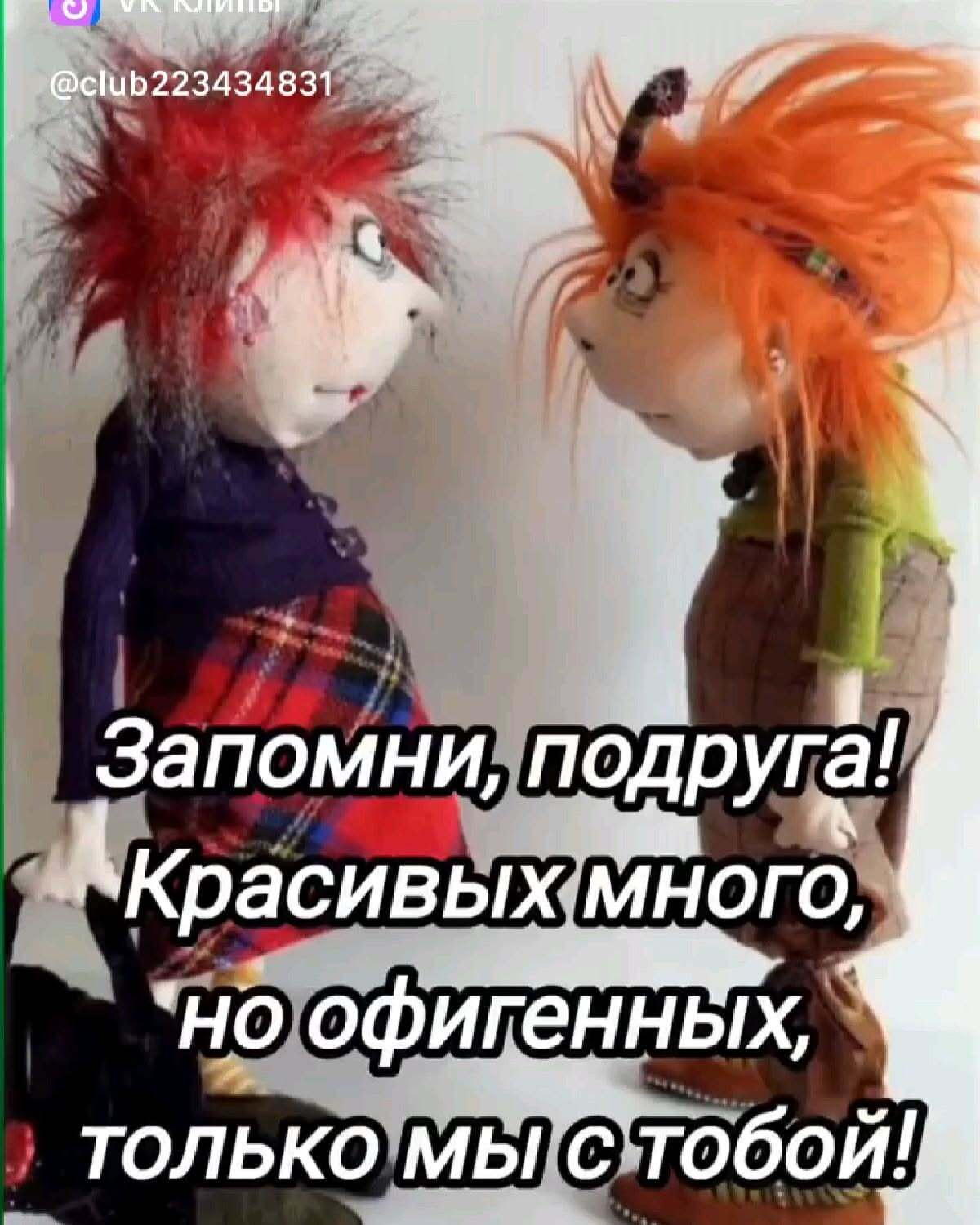 Открытка с юбилеем подруге. Запомни, подруга! Красивых много, но офигенных, только мы с тобой!