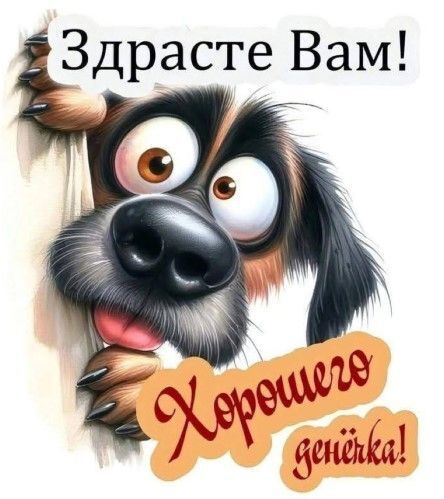 Открытка хорошего дня и настроения. Собачка выглядывает и желает хорошего дня.