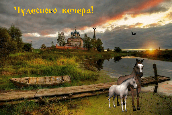 Уютный вечерний пейзаж с лошадьми у реки, старинным храмом и закатным небом. Красивая открытка с надписью «Чудесного вечера!» для пожеланий. Анимированная открытка Чудесного вечера! Живописный коллаж в стиле ретро, изображающий спокойный вечер у реки. На переднем плане у деревянного причала стоят лошади — коричневая и белая. На заднем плане виднеется старинный храм с куполами на фоне закатного неба с золотистыми облаками и летящими птицами. Сверху добавлена надпись на русском языке «Чудесного вечера!»