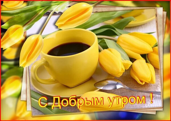 Яркая открытка «С добрым утром!» с чашкой кофе и желтыми тюльпанами. Солнечное и уютное пожелание доброго утра для близких и друзей. Открытка С добрым утром Красивая праздничная открытка с пожеланием доброго утра. На изображении представлена чашка ароматного черного кофе в желтой кружке на блюдце, окруженная нежными ярко-желтыми тюльпанами. Композиция выполнена в теплых солнечных тонах, создавая уютное и позитивное настроение для начала дня Яркая открытка «С добрым утром!» с чашкой кофе и желтыми тюльпанами. Солнечное и уютное пожелание доброго утра для близких и друзей. Открытка С добрым утром Красивая праздничная открытка с пожеланием доброго утра. На изображении представлена чашка ароматного черного кофе в желтой кружке на блюдце, окруженная нежными ярко-желтыми тюльпанами. Композиция выполнена в теплых солнечных тонах, создавая уютное и позитивное настроение для начала дня
