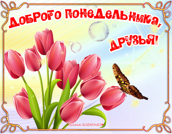 Поздравительная открытка «Доброго понедельника, друзья!» с букетом розовых тюльпанов, бабочкой и солнечными лучами. Яркое пожелание хорошего начала недели. Анимированная открытка Доброго понедельника, друзья! Красочная поздравительная открытка к началу недели. На светлом нежно-голубом фоне с солнечными лучами изображен пышный букет розовых тюльпанов и изящная бабочка. В верхней части картинки расположена крупная надпись на русском языке: «ДОБРОГО ПОНЕДЕЛЬНИКА, ДРУЗЬЯ!»