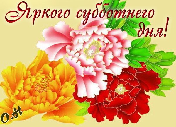 Яркая открытка с цветами (пионами) и пожеланием «Яркого субботнего дня!». Красочное изображение для позитивного настроения в субботу. Открытка Яркого субботнего дня! Красочная цифровая открытка с изображением пышных пионов нежно-розового, ярко-желтого и насыщенного красного цветов. На картинке размещен поздравительный текст на русском языке: «Яркого субботнего дня!», выполненный изящным каллиграфическим шрифтом темно-красного цвета