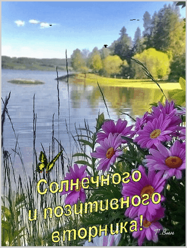 Красивая открытка с фиолетовыми цветами, бабочкой и пейзажем озера. Надпись: «Солнечного и позитивного вторника!» для хорошего настроения. Анимированная открытка Солнечного и позитивного вторника! Красивая поздравительная открытка с летним пейзажем. На переднем плане изображены яркие фиолетовые цветы (астры) и летящая желтая бабочка. На заднем плане — спокойная гладь озера, зеленое поле и густой лес под ясным голубым небом. Поверх изображения наложена поздравительная надпись на русском языке: Солнечного и позитивного вторника!