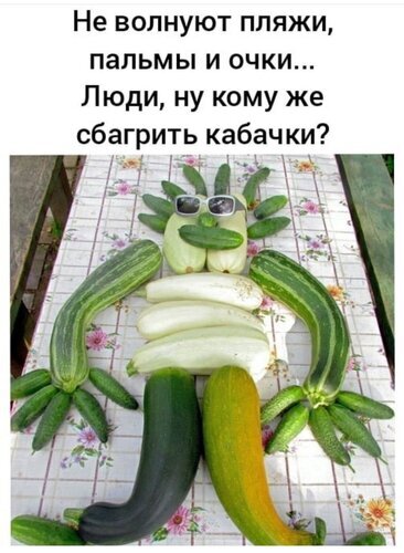 Смешной мем про избыток кабачков: овощи в виде человечка с текстом «Ну кому же сбагрить кабачки?». Юмор про урожай и дачную жизнь. Открытка Не волнуют пляжи Смешной мем с юмористической подписью на русском языке. На фотографии овощи (кабачки и огурцы) выложены на столе в виде забавного человеческого фигурного персонажа. Овощи имитируют голову с очками, туловище и руки с пальцами. Текст гласит: «Не волнуют пляжи, пальмы и очки... Люди, ну кому же сбагрить кабачки?», высмеивая сезонный избыток урожая кабачков
