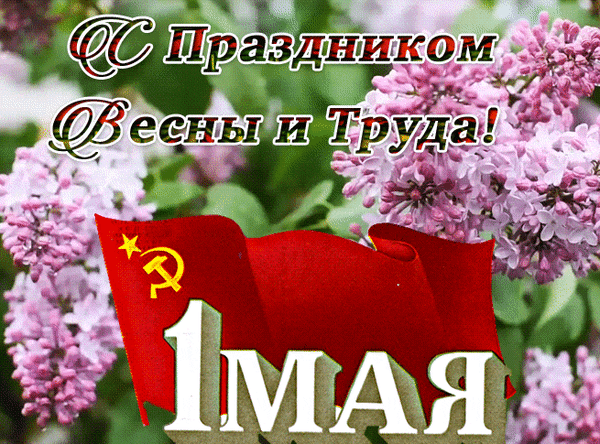 Поздравительная открытка к 1 Мая: цветущая сирень, красный флаг и надпись «С Праздником Весны и Труда!». Идеально для поздравлений с Днем весенне-трудового праздника. Анимированная открытка Поздравляю с 1 Мая! Красочная праздничная открытка к 1 Мая — Дню весенне-трудового праздника. На фоне пышных цветущих кустов сирени изображен развевающийся красный флаг с золотой серпом и молотом. В центре композиции крупная надпись «1 МАЯ» и поздравительный текст «С Праздником Весны и Труда!»