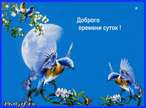 Красивая открытка с синими птицами, цветами и луной. Надпись «Доброго времени суток!» для теплых пожеланий друзьям и близким. Анимированная открытка Доброго времени суток! Красивая поздравительная открытка с изображением синих птиц на фоне полнолуния и яркого синего неба. На картинке представлены две летящие птицы, ветки с нежными белыми цветами и маленькая бабочка. В правой части композиции расположена надпись на русском языке «Доброго времени суток!»