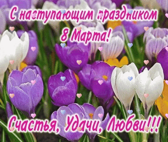 Поздравительная открытка к 8 Марта с весенними крокусами. Надписи: «С наступающим праздником 8 Марта!» и «Счастья, Удачи, Любви!!!». Красивое весеннее поздравление. Анимированная открытка С наступающим праздником 8 Марта! Красивая поздравительная открытка к Международному женскому дню 8 Марта. На изображении представлены нежные весенние цветы крокусы фиолетового и белого цвета. На картинке нанесен праздничный текст на русском языке: «С наступающим праздником 8 Марта!» сверху и «Счастья, Удачи, Любви!!!» снизу Поздравительная открытка к 8 Марта с весенними крокусами. Надписи: «С наступающим праздником 8 Марта!» и «Счастья, Удачи, Любви!!!». Красивое весеннее поздравление. Анимированная открытка С наступающим праздником 8 Марта! Красивая поздравительная открытка к Международному женскому дню 8 Марта. На изображении представлены нежные весенние цветы крокусы фиолетового и белого цвета. На картинке нанесен праздничный текст на русском языке: «С наступающим праздником 8 Марта!» сверху и «Счастья, Удачи, Любви!!!» снизу