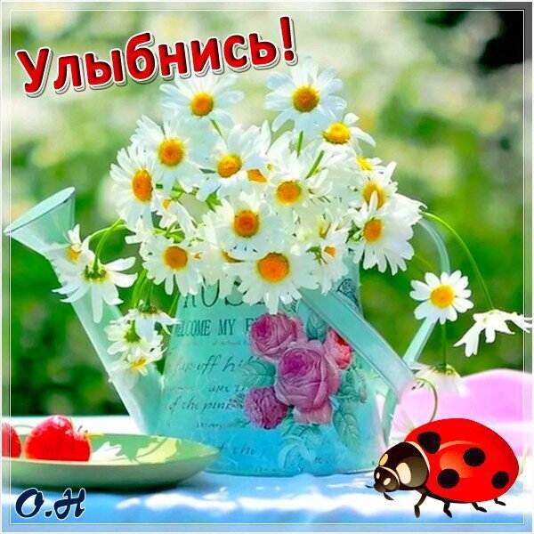 Позитивная открытка с букетом ромашек в лейке, розовыми розами, клубникой и божьей коровкой. Надпись «Улыбнись!» для поднятия настроения и пожелания доброго дня. Открытка Улыбнись! Яркая и позитивная открытка с букетом белоснежных ромашек в голубой лейке. Композиция дополнена нежными розовыми розами, сочной клубникой на тарелке и милым божьим коровкой. В верхней части изображения крупная надпись на русском языке «Улыбнись!», создающая весеннее и радостное настроение