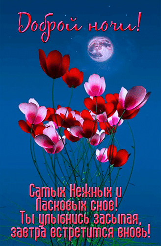 Открытка «Доброй ночи!» с нежными красными цветами и полной луной. Пожелание ласковых снов и улыбки перед сном. Красивое изображение для мессенджеров. Анимированная открытка Спокойной ночи! Красивая поздравительная открытка на доброй ночи с изображением нежных красных и розовых цветов на глубоком синем фоне под светом полной луны. На картинке размещен текст на русском языке: «Доброй ночи! Самых нежных и ласковых снов! Ты улыбнись засыпая, завтра встретимся вновь!». Идеально подходит для отправки в мессенджерах (WhatsApp, Viber) и социальных сетях в качестве милого пожелания спокойной ночи близким, друзьям или любимым