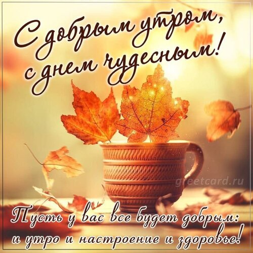 Осенняя открытка с пожеланием доброго утра: чашка и золотые кленовые листья. Теплые слова для хорошего настроения, здоровья и чудесного дня! Открытка С добрым утром, с днем чудесным! Красивая осенняя открытка с пожеланием доброго утра. На изображении представлена уютная чашка, украшенная золотистыми кленовыми листьями в мягком солнечном свете. Текст на русском языке гласит: 