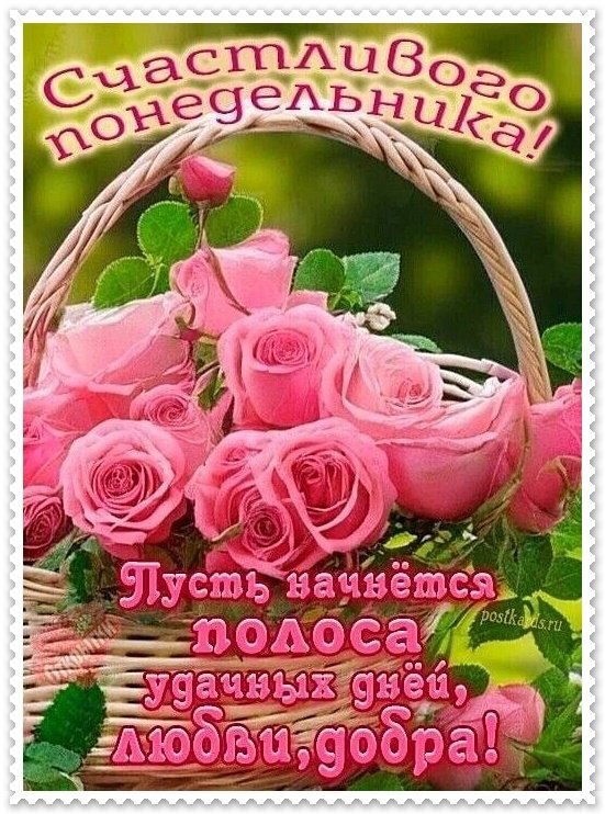 Открытка «Счастливого понедельника!»: букет розовых роз в корзине и добрые пожелания удачи, любви и добра для хорошего начала недели. Открытка Счастливого понедельника! Красочная поздравительная открытка к понедельнику с пышным букетом нежно-розовых роз в плетеной корзинке. На изображении нанесен теплый текст на русском языке: «Счастливого понедельника! Пусть начнется полоса удачных дней, любви, добра!»