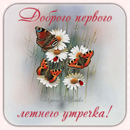 Открытка «Доброго первого летнего утречка!» с бабочками и ромашками. Красивое летнее пожелание доброго утра для близких и друзей. Анимированная открытка Доброго первого летнего утречка! Красивая поздравительная открытка с изображением ярких бабочек и белых ромашек на фоне летней травы. На картинке начертан текст на русском языке: «Доброго первого летнего утречка!». Изображение выполнено в нежных пастельных тонах, создавая атмосферу тепла, уюта и радости начала лета