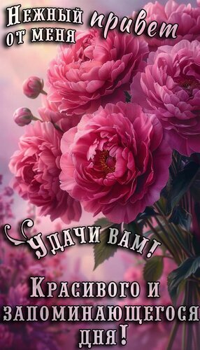 Красивая открытка с розовыми пионами: «Нежный привет! Удачи вам! Красивого и запоминающегося дня!». Идеальное пожелание доброго дня для близких. Открытка Добрый день Красивая открытка с пышными розовыми пионами и вдохновляющей надписью на русском языке. Изображение наполнено нежностью и весенним настроением. Текст гласит: «Нежный привет от меня. Удачи вам! Красивого и запоминающегося дня!». Идеально подходит для отправки в мессенджерах (WhatsApp, Viber, Telegram) в качестве доброго пожелания, статуса или поздравительной картинки для близких, друзей и коллег