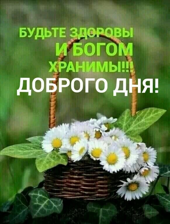 Открытка с ромашками и пожеланием: «Будьте здоровы и Богом хранимы!!! Доброго дня!». Красивое доброе пожелание для близких и друзей в мессенджеры. Открытка Будьте здоровы и Богом хранимы!!! Доброго дня! Красивая поздравительная открытка с изображением корзинки из лозы, наполненной белоснежными ромашками. На фоне — мягкая зелень, создающая ощущение свежести и весеннего настроения. На картинке нанесен текст на русском языке: «БУДЬТЕ ЗДОРОВЫ И БОГОМ ХРАНИМЫ!!! ДОБРОГО ДНЯ!»