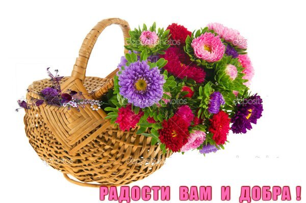 Яркий букет астр в плетеной корзинке с надписью «Радости вам и добра!». Красивая поздравительная открытка с цветами на белом фоне. Открытка РАДОСТИ ВАМ И ДОБРА ! Красивый букет ярких осенних цветов (астр) в плетеной корзинке на белом фоне. Композиция включает цветы розового, фиолетового и красного оттенков с сочной зеленой листвой. В нижней части изображения расположена поздравительная надпись на русском языке: «РАДОСТИ ВАМ И ДОБРА!», выполненная розовыми буквами