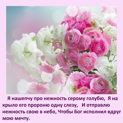 Нежный букет розовых и белых цветов с романтичным стихотворением о мечте и любви. Эстетичная открытка для соцсетей и душевного настроения. Открытка Я нашепчу про нежность серому голубю. Красивое эстетичное изображение букета нежных розовых и белых цветов (ранункулюсов) с романтичным текстом на русском языке. Картинка наполнена атмосферой нежности, мечтательности и светлой грусти, идеально подходит для использования в качестве открытки, статуса в социальных сетях или эмоционального поста
