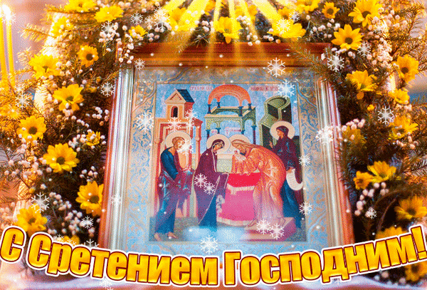 Поздравительная открытка к празднику Сретение Господне с иконой, желтыми цветами и надписью «С Сретением Господним!». Праздничное и духовное изображение. Анимированная открытка Сретение Господне! Красивая поздравительная открытка к православному празднику Сретение Господне. В центре композиции — икона, изображающая встречу Младенца Иисуса в храме, обрамленная пышными желтыми цветами и сверкающими снежинками. В нижней части кадра расположена яркая золотистая надпись на русском языке: «С Сретением Господним!»