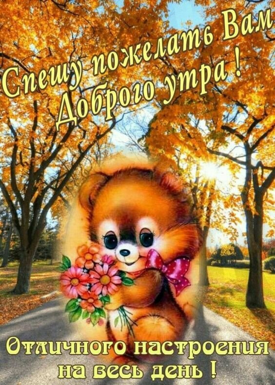 Милая осенняя открытка: пушистый медвежонок с цветами желает доброго утра и отличного настроения на весь день. Красочное поздравление для близких. Открытка Доброго утра! Отличного настроения на весь день! Красочная поздравительная открытка для доброго утра в осеннем стиле. На изображении милый пушистый медвежонок с большими глазами, держащий букет ярких розовых цветов. Фон представляет собой живописную осеннюю аллею с золотистыми и оранжевыми листьями под ярким солнечным светом. На картинке нанесен теплый текст на русском языке: Спешу пожелать Вам доброго утра! Отличного настроения на весь день! Милая осенняя открытка: пушистый медвежонок с цветами желает доброго утра и отличного настроения на весь день. Красочное поздравление для близких. Открытка Доброго утра! Отличного настроения на весь день! Красочная поздравительная открытка для доброго утра в осеннем стиле. На изображении милый пушистый медвежонок с большими глазами, держащий букет ярких розовых цветов. Фон представляет собой живописную осеннюю аллею с золотистыми и оранжевыми листьями под ярким солнечным светом. На картинке нанесен теплый текст на русском языке: Спешу пожелать Вам доброго утра! Отличного настроения на весь день!