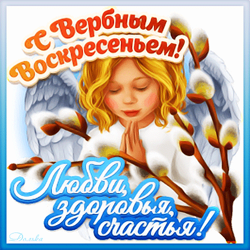 Поздравление с Вербным воскресеньем: открытка с ангелом и ветками вербы. Пожелания любви, здоровья и счастья. Красивая праздничная картинка для близких. Анимированная открытка С Вербным Воскресеньем! Красивая поздравительная открытка к Вербному воскресенью. На изображении — миловидный ангел с золотистыми волосами в молитвенной позе, окруженный ветками вербы с пушистыми почками. На картинке нанесен праздничный текст на русском языке: «С Вербным Воскресеньем! Любви, здоровья, счастья!»