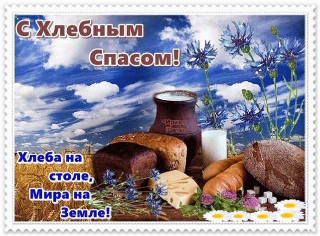 Поздравление с Хлебным Спасом: открытка с хлебом, молоком и полевыми цветами на фоне неба. Надпись: «Хлеба на столе, Мира на Земле!» Открытка Ореховый спас Праздничная открытка к Хлебному Спасу. На изображении представлен натюрморт с различными видами свежего домашнего хлеба, кувшином молока, сыром и полевыми цветами (васильками и ромашками) на фоне яркого голубого неба с белыми облаками. В тексте на картинке написано: «С Хлебным Спасом!» и пожелание: «Хлеба на столе, Мира на Земле!»