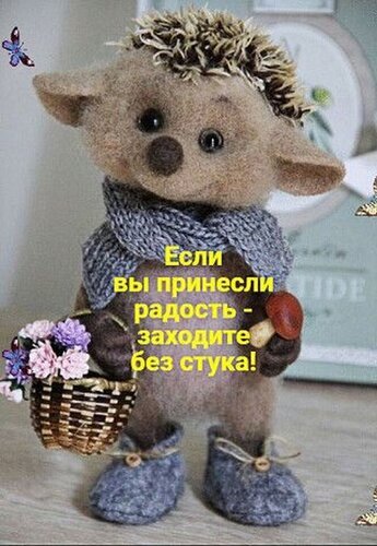 Милый плюшевый ежик в шарфе с корзинкой цветов и доброй цитатой: «Если вы принесли радость — заходите без стука!». Уютная картинка для души и позитива. Открытка Если вы принесли радость-заходите без стука! Милая и уютная иллюстрация с изображением плюшевого ежика ручной работы, выполненного в технике валяния из шерсти. Маленькое существо одето в серый вязаный шарф и теплые сапожки, а в лапках оно держит корзинку с нежными цветами. На картинке размещена вдохновляющая цитата на русском языке: «Если вы принесли радость — заходите без стука!»