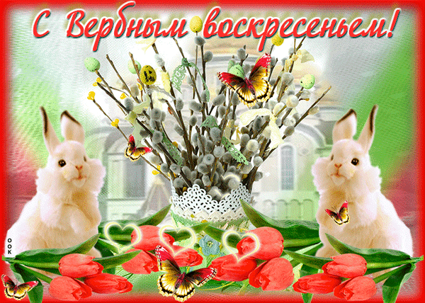 Красивая открытка с Вербным воскресеньем: пушистые вербы, милые белые кролики, красные тюльпаны и бабочки. Праздничное поздравление с весенним настроением! Анимированная открытка С Вербным Воскресеньем! Праздничная открытка к Вербному воскресенью с пожеланиями. На изображении представлен букет пушистых верб в вазе, украшенный яркими бабочками. Композицию дополняют два милых белых кролика, весенние красные тюльпаны и пасхальные яйца. Фон с нежным изображением храма и мягким свечением создает атмосферу торжества и весеннего обновления