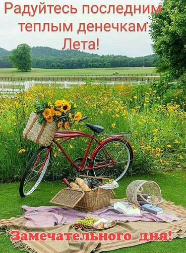 Летняя открытка: красный велосипед с подсолнухами, пикник на траве и пожелание замечательного дня. Уютная атмосфера уходящего лета и природы. Открытка Радуйтесь последним теплым денечкам Лета! Замечательного дня! Красивая летняя открытка с уютной композицией на природе. На переднем плане стоит красный винтажный велосипед с плетеной корзиной, наполненной яркими подсолнухами. Рядом на траве расстелен плед для пикника, на котором лежат багет, виноград, фрукты и открытая книга, создавая атмосферу безмятежности. Фон представляет собой цветущее поле желтых цветов, белое ограждение и густой зеленый лес на фоне холмов. В верхней части изображения на русском языке надпись: «Радуйтесь последним теплым денечкам Лета!», а внизу: «Замечательного дня!»
