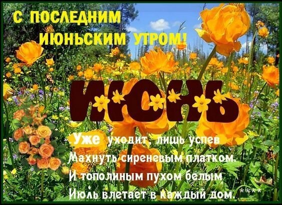 Красивая летняя открытка с пожеланием последнего июня и приходом июля. Поэтичный текст на фоне ярких оранжевых цветов и солнечного сада. Открытка С последним июньским днем! Яркая и эмоциональная открытка, посвященная последнему июньскому утру. На фоне цветущего летнего сада с оранжевыми цветами наложен поэтичный текст на русском языке: 