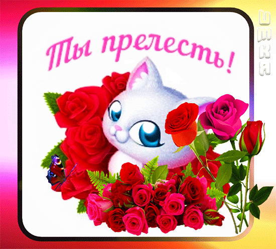 Милая открытка с белым котенком и красными розами. Надпись на русском: «Ты прелесть!». Идеально для романтического поздравления и нежных пожеланий. Анимированная открытка Ты прелесть! Милая и романтичная открытка с изображением очаровательного белого котенка с большими голубыми глазами, окруженного пышным букетом ярко-красных и розовых роз. На фоне композиции красуется нежная надпись на русском языке «Ты прелесть!»