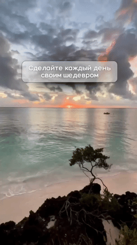 Эстетичный закат у океана с мотивирующей надписью «Сделайте каждый день своим шедевром». Идеально для вдохновения и сторис. Анимированная открытка Мотивация. Сделайте каждый день своим шедевром. Живописный закат на тропическом пляже с видом на спокойное океанское побережье. На переднем плане — одинокое дерево на скалистом берегу, создающее атмосферу умиротворения и вдохновения. На изображении наложена мотивирующая надпись на русском языке: «Сделайте каждый день своим шедевром»