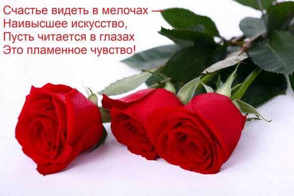 Три красные розы с романтичной цитатой о счастье и чувствах. Красивая эстетичная открытка о любви и умении видеть прекрасное в мелочах. Открытка Счастье видеть в мелочах — наивысшее искусство, пусть читается в глазах это пламенное чувство! Красивое эстетичное изображение трех ярко-красных роз на светлом фоне с вдохновляющей цитатой на русском языке. На картинке крупным планом запечатлены распустившиеся бутоны роз насыщенного алого цвета, символизирующие любовь, страсть и глубокие чувства. Текст гласит: 