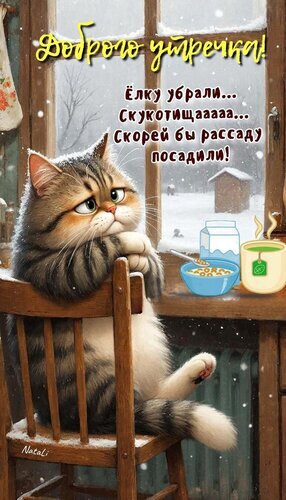 Забавная открытка «Доброго утречка!» с грустным котом. Текст: «Елку убрали... Скукотища... Скорей бы рассаду посадили!». Милое зимнее изображение для настроения. Открытка Елку убрали Милая и забавная открытка с грустным полосатым котом, сидящим у окна в зимний день. На картинке изображен пушистый кот, подперевший голову лапой, на фоне заснеженного пейзажа. Надпись на русском языке гласит: «Доброго утречка! Елку убрали... Скукотищаааа... Скорей бы рассаду посадили!». Идеальное изображение для передачи утреннего настроения, меланхолии и ожидания весны