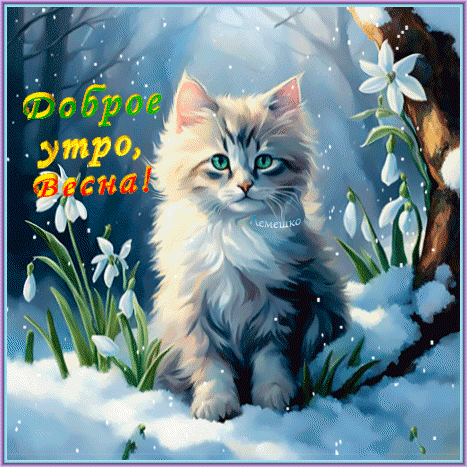 Милый пушистый котенок среди подснежников на снегу. Открытка с надписью «Доброе утро, Весна!» для создания весеннего настроения и поздравлений. Анимированная открытка Доброе утро, Весна! Красочная открытка с милым пушистым котенком в зимнем пейзаже. На картинке изображен светлый котенок с зелеными глазами, сидящий на снегу среди первых весенних подснежников. Фон украшен мягким светом и падающим снегом. На изображении надпись на русском языке: «Доброе утро, Весна!»