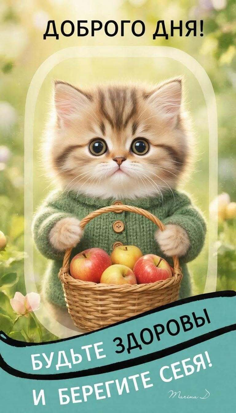 Открытка хорошего дня и настроения. Котик с корзинкой яблок.