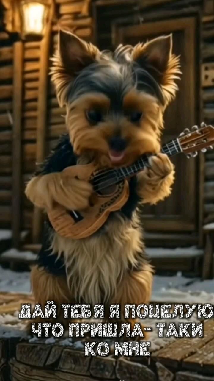 Открытка привет. a small dog holding a guitar in its paws