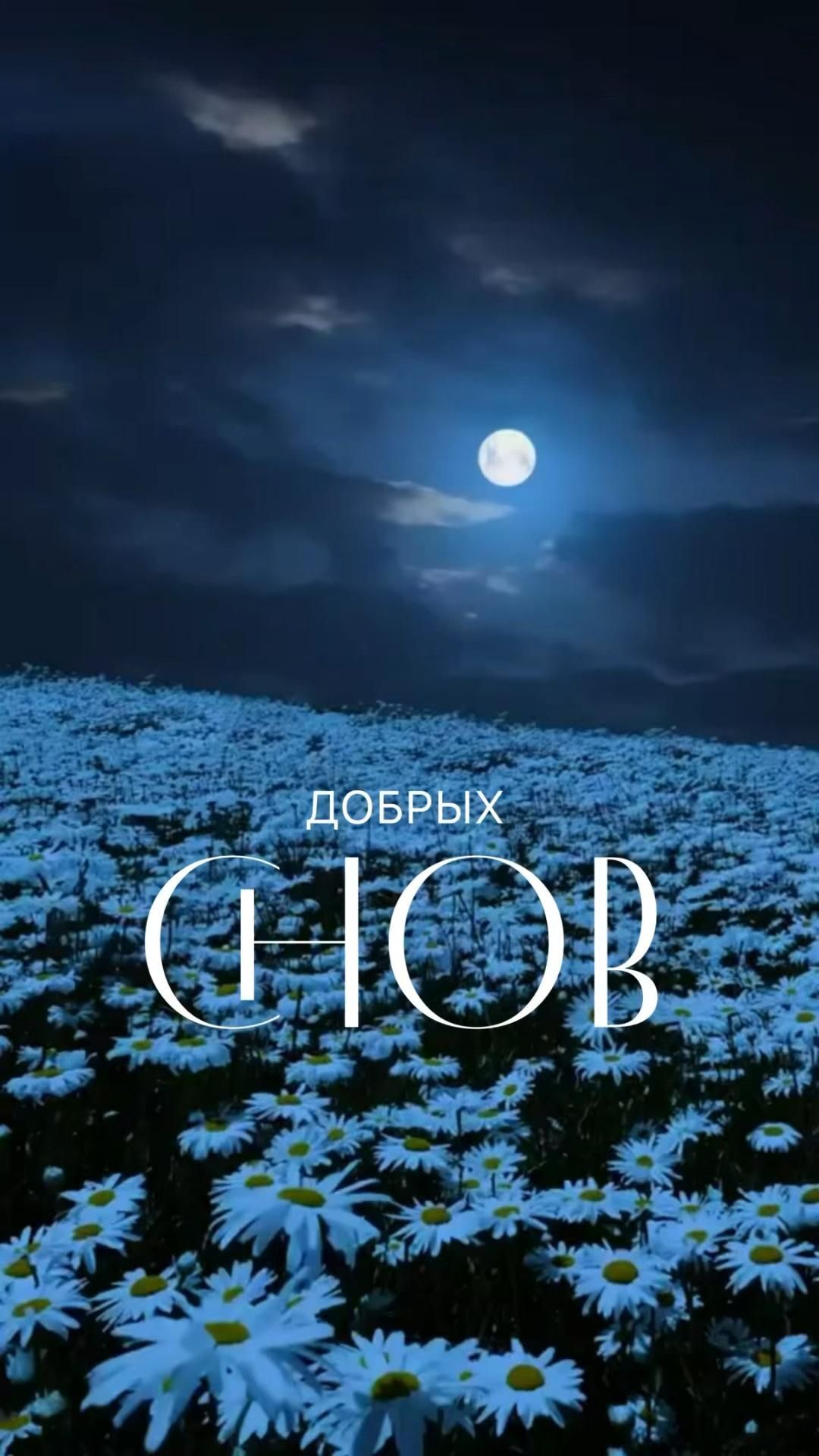 Открытка спокойной ночи. Спокойной ночи the sky is full of clouds and white daisies in front of an overcast night