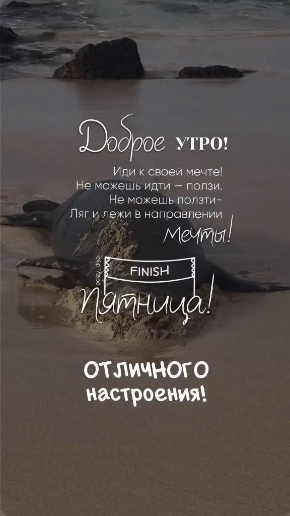 Открытка на пятницу. 🌞 Доброе утро — это шанс начать все заново! Пусть этот день принесет энергию, силу и вдохновение. 💪 Даже если понедельник, пусть будет с настроением победителя! #доброеутромотивациянаработупонедельник — включайся с улыбкой и действуй! 😄Жизнь — как #слоты: иногда все решает один поворот, но каждый шаг приближает к выигрышу. 🎰 Не бойся рисковать, учись на ходу и не упускай свой шанс! ✨Пусть кофе бодрит, цели зажигают, а #казиножизни дарит только крупные выигрыши! 🎯💸
#доброеутромотивация #доброеутромотивацияюмор #казиностиль #слотыутро Скайнет в 1win тут😂 Reels polzy_dlya🫠жми an image of a beach scene with the words do not stop in russian and english