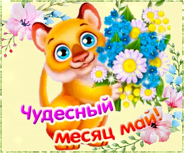 Милая открытка с рыжим львенком и весенними цветами. Надпись: «Чудесный месяц май!». Яркое весеннее поздравление для настроения. Анимированная открытка Не грусти и не скучай! Чудесный месяц май! Милая и яркая поздравительная открытка с изображением очаровательного рыжего львенка с большими голубыми глазами. Львенок окружен пышным букетом весенних цветов: нежными белыми ромашками, голубыми цветами и розовыми бутонами. На картинке красуется красивая надпись на русском языке: «Чудесный месяц май!». Изображение выполнено в светлых, солнечных тонах, создавая радостное весеннее настроение