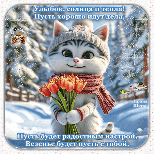 Милая зимняя открытка с котенком, букетом тюльпанов и добрыми пожеланиями тепла, улыбок и удачи на фоне заснеженного леса. Анимированная открытка Улыбок, солнца и тепла! Милая открытка с пушистым котенком в зимней шапке и розовом шарфе, который держит букет ярких оранжевых тюльпанов. На фоне — заснеженный зимний лес. Изображение украшено поздравительной надписью на русском языке: «Улыбок, солнца и тепла! Пусть хорошо идут дела, Пусть будет радостным настрой, Везенье будет пусть с тобой»