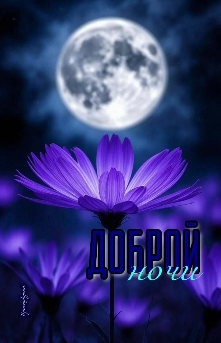 Открытка спокойной ночи. a purple flower with the moon in the background and words above it that read, alberson to view Открытка спокойной ночи. a purple flower with the moon in the background and words above it that read, alberson to view