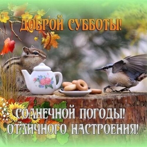 Поздравительная открытка на субботу с бурундуком, птицей и чаепитием. Пожелания солнечной погоды и отличного настроения. Приятная картинка для соцсетей. Открытка Доброй субботы! Солнечной погоды! Отличного настроения! Красочная поздравительная открытка к субботе с милыми животными. На изображении запечатлены симпатичный бурундук и птица-поползень, сидящие на пне рядом с белым чайником, украшенным цветами, и тарелкой с вкусными крендельками. Фон наполнен мягким солнечным светом и осенней листвой. На картинке расположены теплые пожелания на русском языке: «ДОБРОЙ СУББОТЫ!» и «СОЛНЕЧНОЙ ПОГОДЫ! ОТЛИЧНОГО НАСТРОЕНИЯ!»