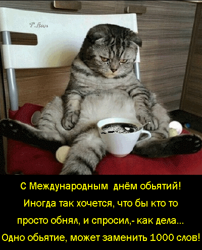 Милый кот с чашкой кофе и поздравлением с Международным днем объятий. Трогательная картинка о том, как важно вовремя получить поддержку и тепло. Анимированная открытка С Международным днем объятий! Забавное и трогательное изображение серого полосатого кота, который сидит в кресле в расслабленной позе, положив лапы на живот, рядом с чашкой кофе. На картинке наложен текст на русском языке: 