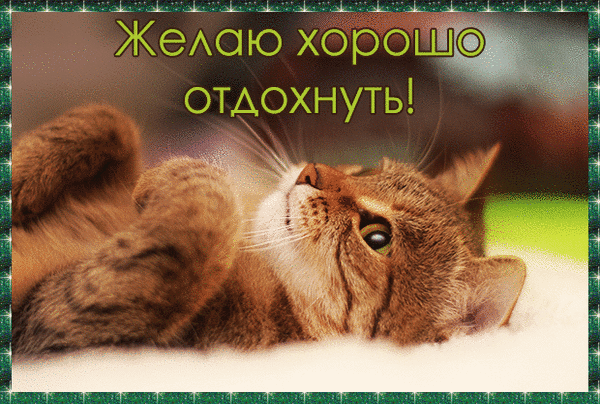 Милая открытка с рыжим котом и надписью «Желаю хорошо отдохнуть!». Идеальное пожелание приятного отдыха и уютного настроения для близких. Анимированная открытка Желаю хорошо отдохнуть! Милая и уютная открытка с изображением рыжего полосатого кота, который расслабленно лежит на спине. На картинке крупным шрифтом на русском языке написан текст: «Желаю хорошо отдохнуть!». Изображение передает атмосферу спокойствия, уюта и безмятежного отдыха Милая открытка с рыжим котом и надписью «Желаю хорошо отдохнуть!». Идеальное пожелание приятного отдыха и уютного настроения для близких. Анимированная открытка Желаю хорошо отдохнуть! Милая и уютная открытка с изображением рыжего полосатого кота, который расслабленно лежит на спине. На картинке крупным шрифтом на русском языке написан текст: «Желаю хорошо отдохнуть!». Изображение передает атмосферу спокойствия, уюта и безмятежного отдыха