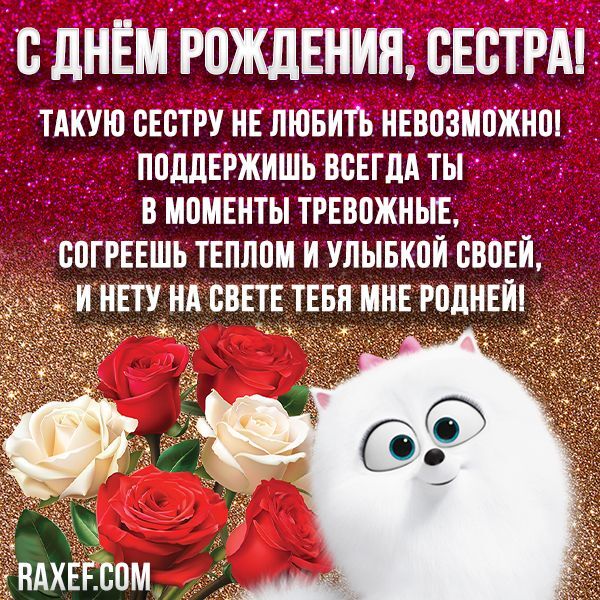 Открытка с днем рождения сестра. a white cat holding roses in front of a pink glitter background with the words happy valentine's day