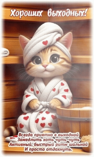 Открытка отличных выходных. Котик в сауне.